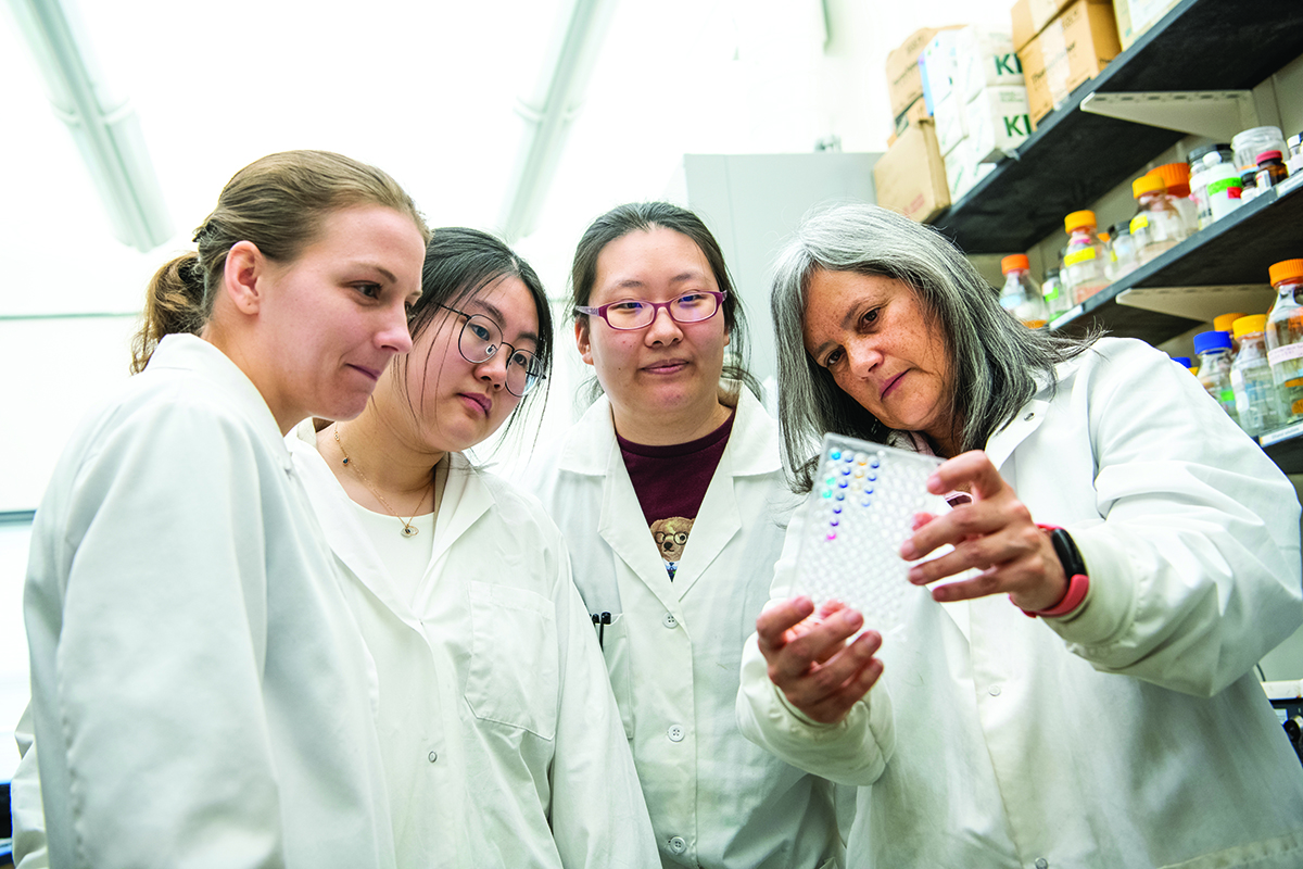 Group of four women in lab coats analyzing test tubes.