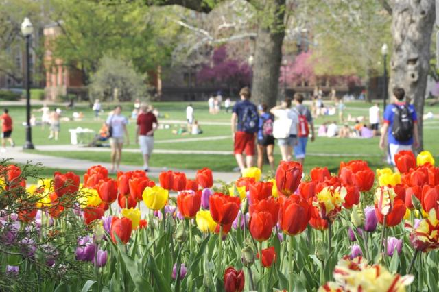 Students walk on campus during spring.
